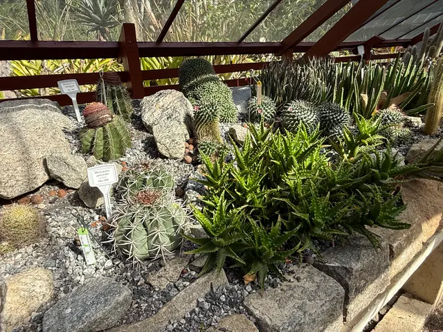 the Botanical Garden in Rio