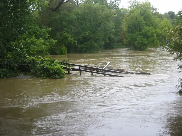 the flood, 2004, img_1828