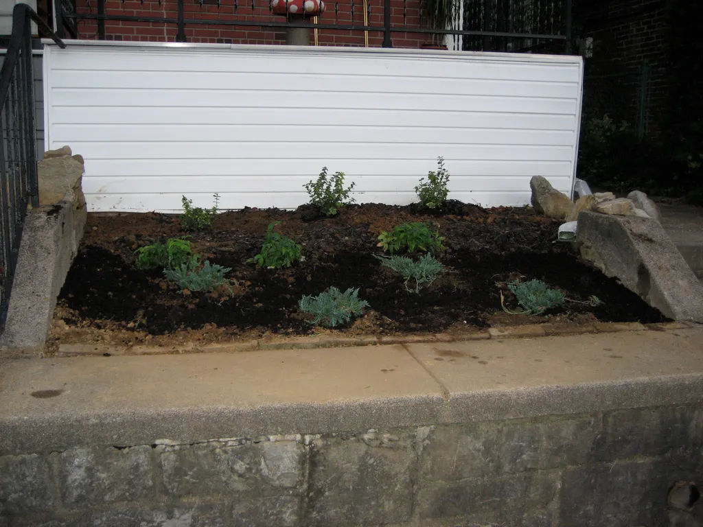new planting out front
