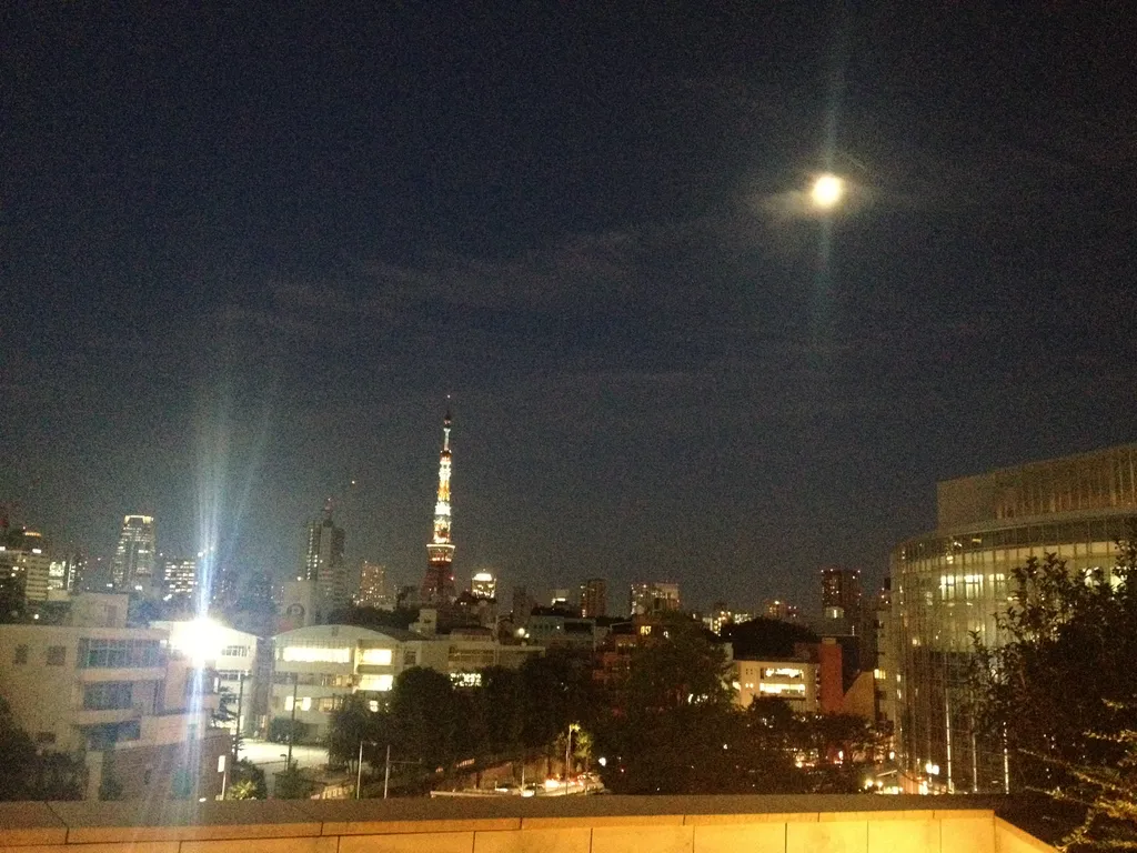 night in Tokyo