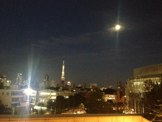 night in Tokyo