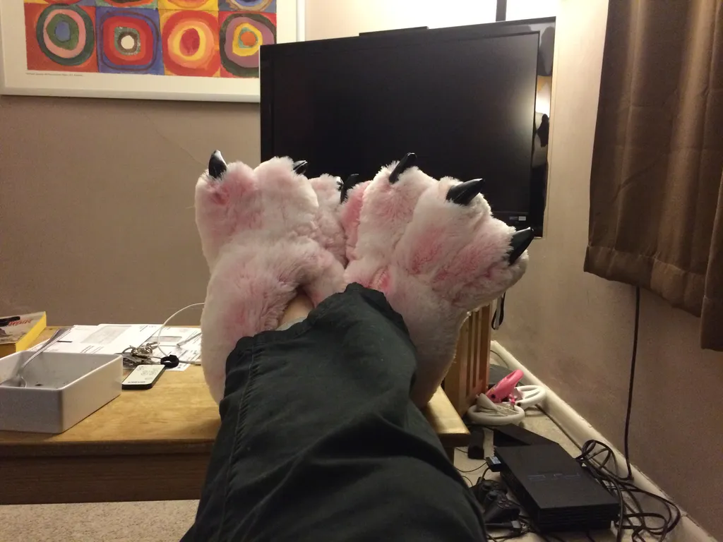 new slippers