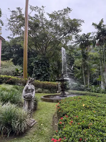 gallery near Corcovado