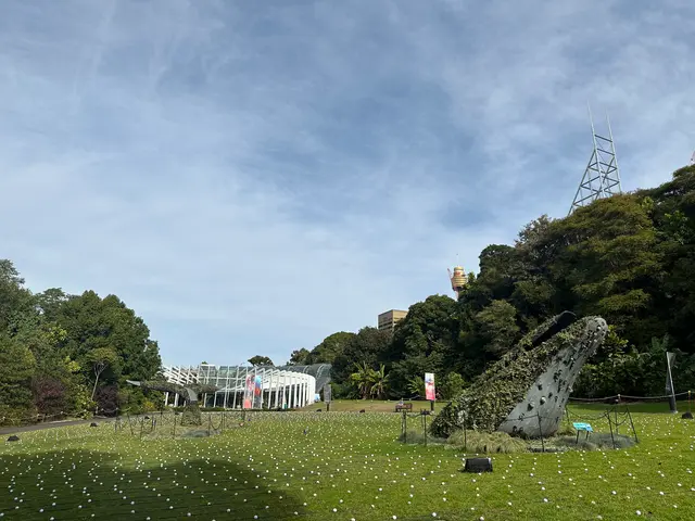 Sydney botanical gardens