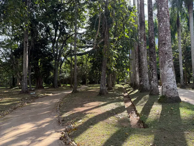 the Botanical Garden in Rio