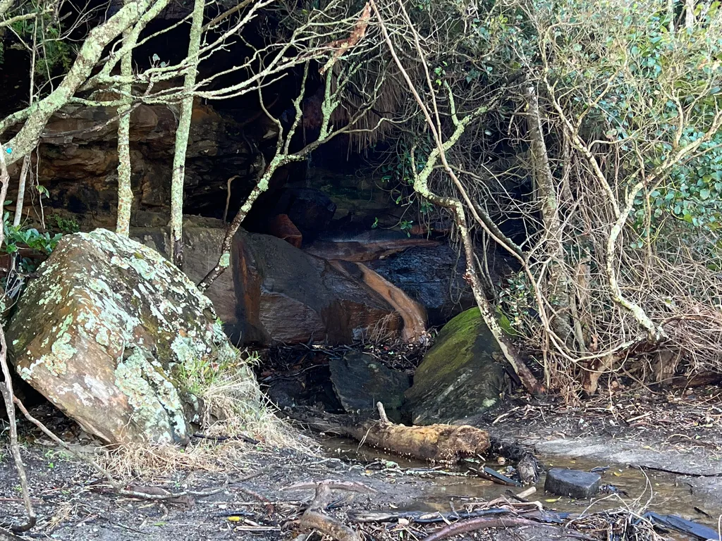 bushwalk