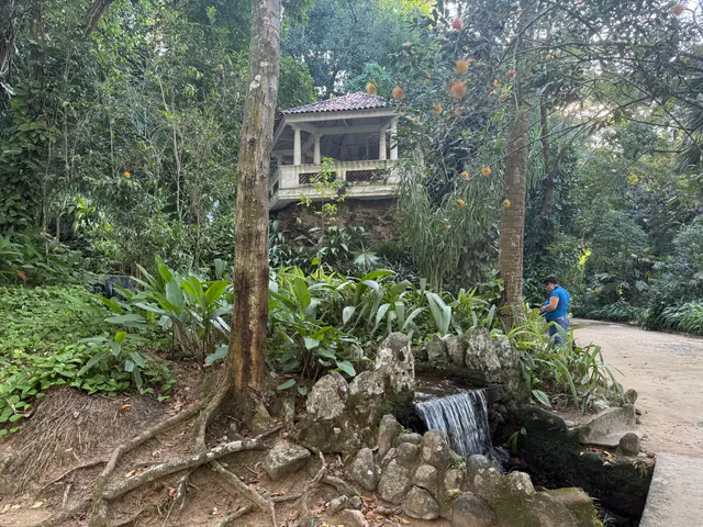 the Botanical Garden in Rio