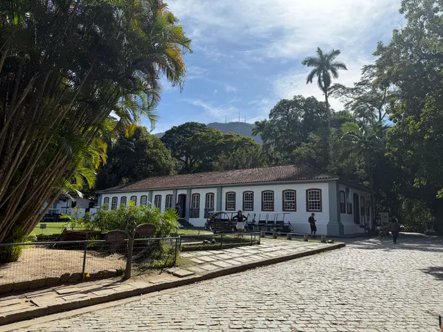 the Botanical Garden in Rio