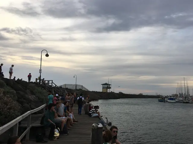the bay