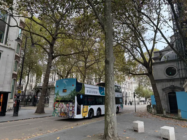 the Strand