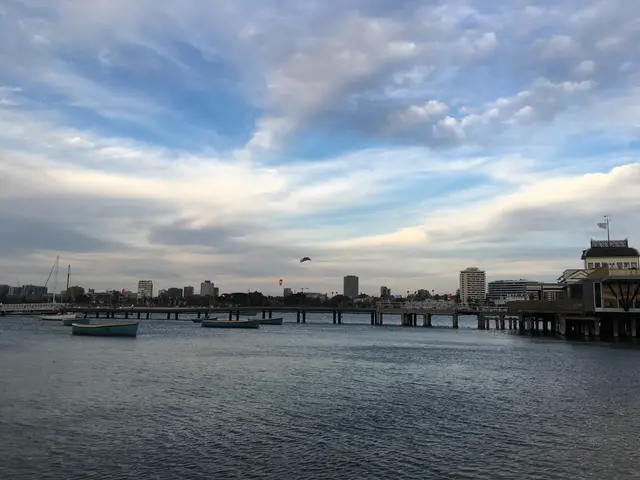 the bay