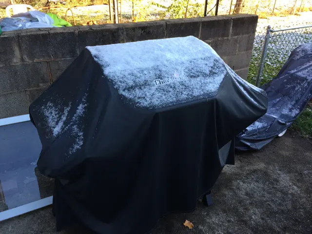 autumn grillin'