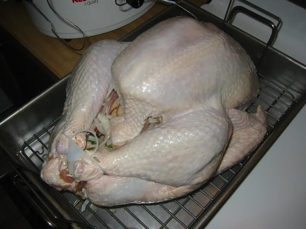 thanksgiving, 2003, The Turkey