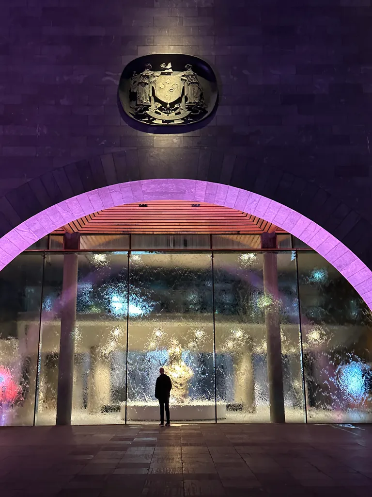 helen at the NGV at night