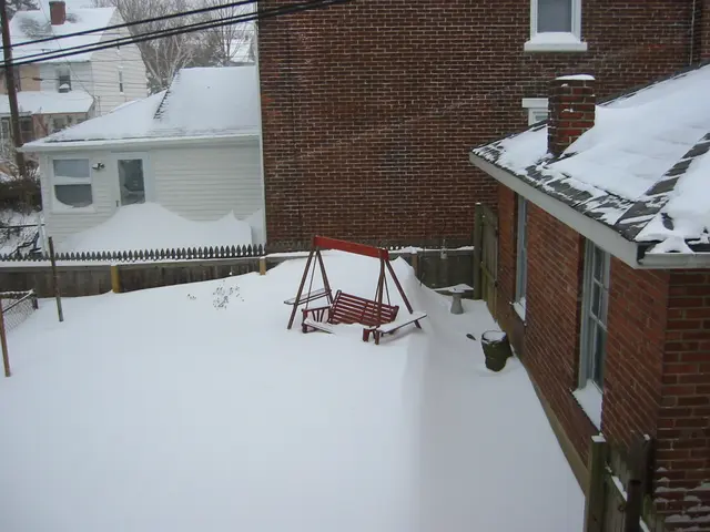 snowstorm, 2003-02, Back Yard
