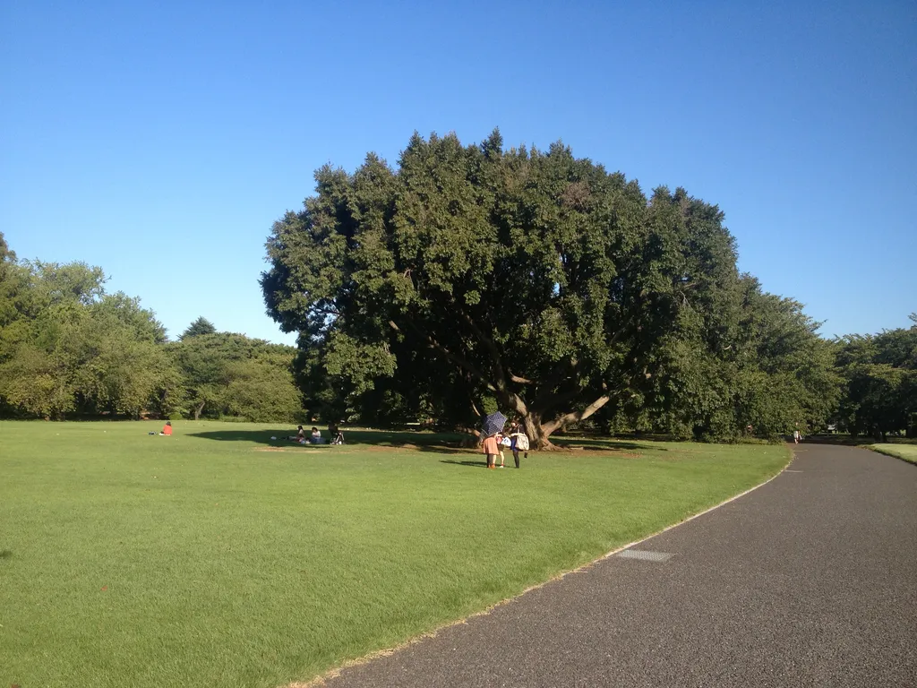 Yoyogi Park