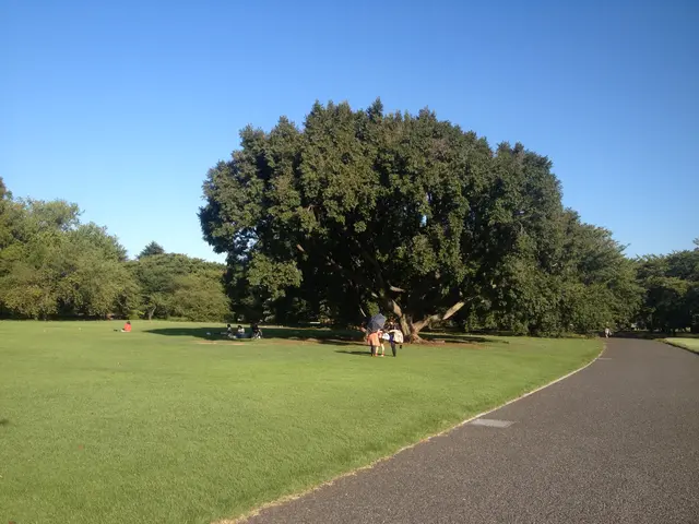 Yoyogi Park