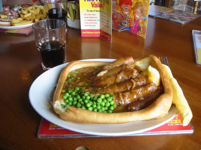 the world's biggest yorkie