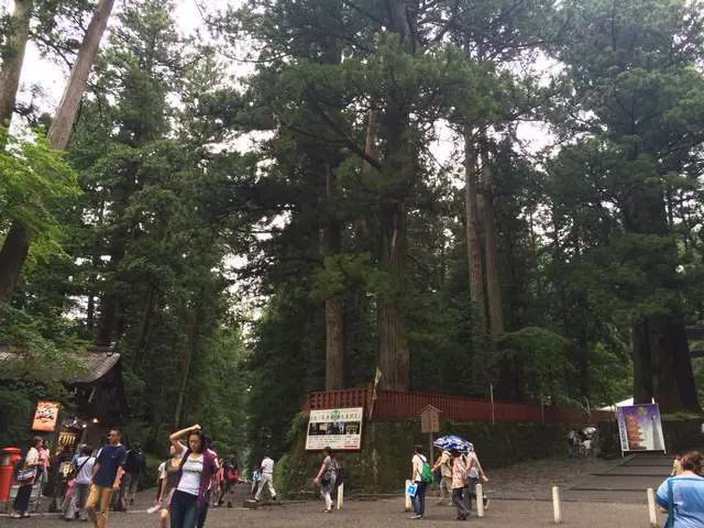 Nikko shrines and buildings