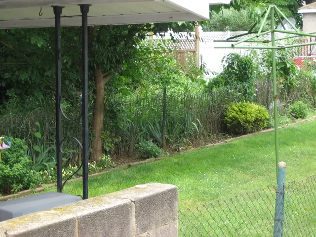 the third yard