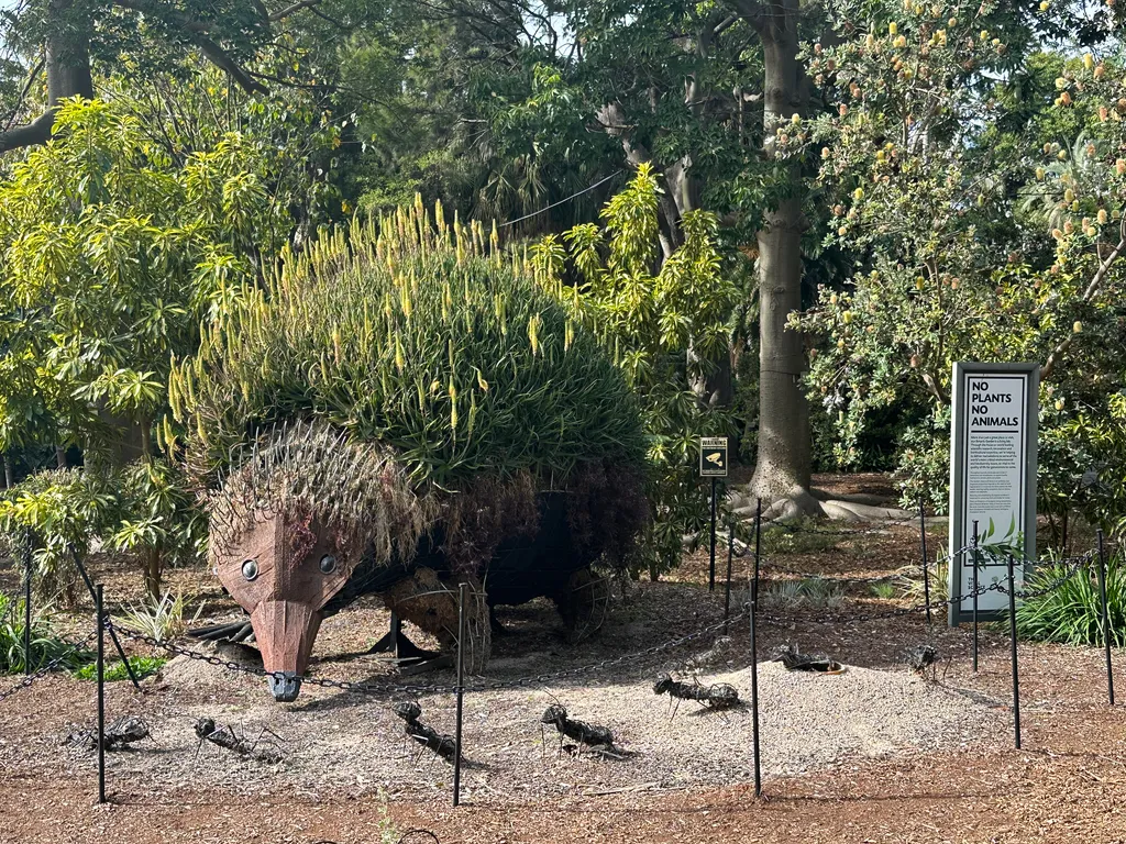 Sydney botanical gardens