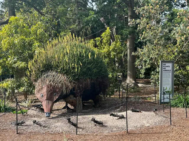 Sydney botanical gardens