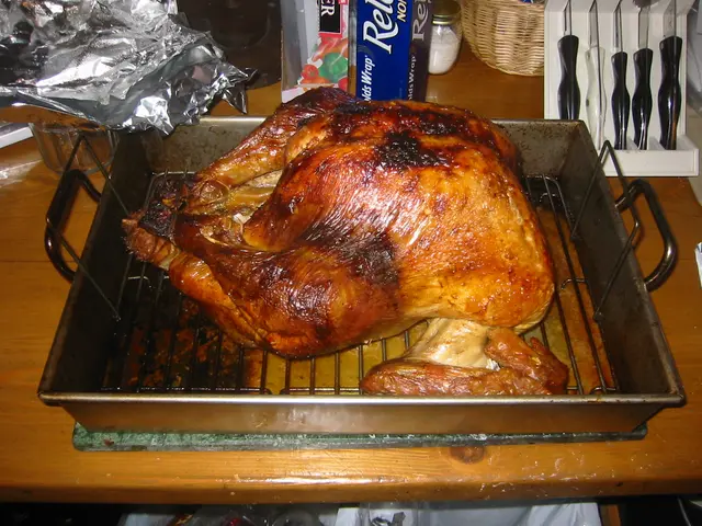 thanksgiving 2004, img_0028