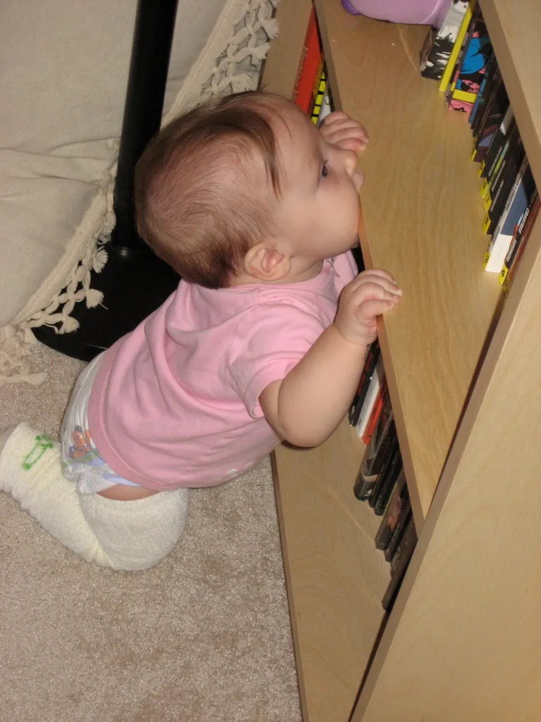 bookshelf-eating martha