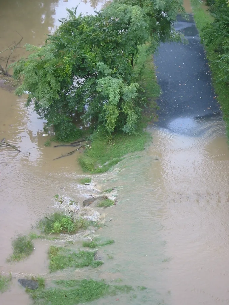 the flood, 2004, img_1843