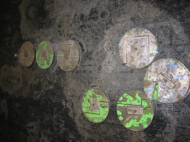 destroying old msdn discs, img_1786