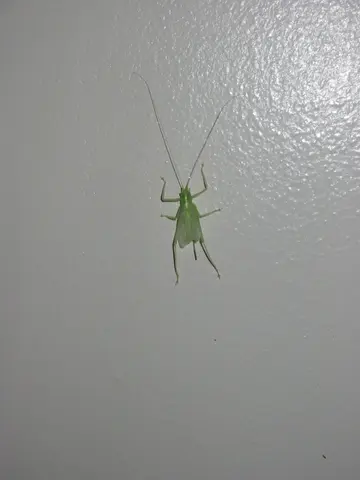 IMG_0024.JPG