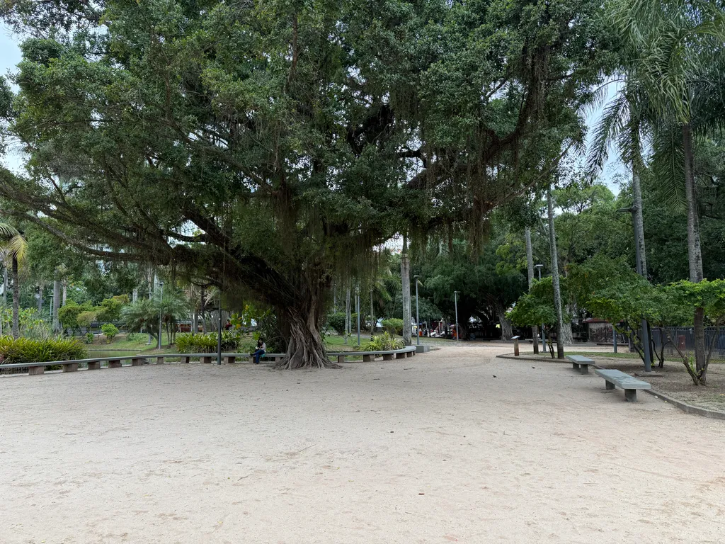 a park near my apartment