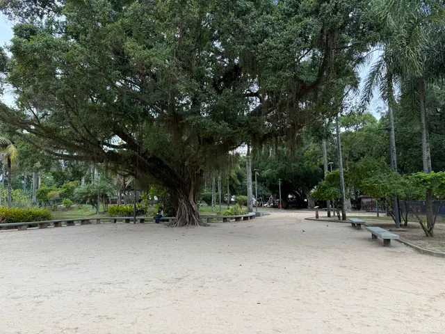 a park near my apartment