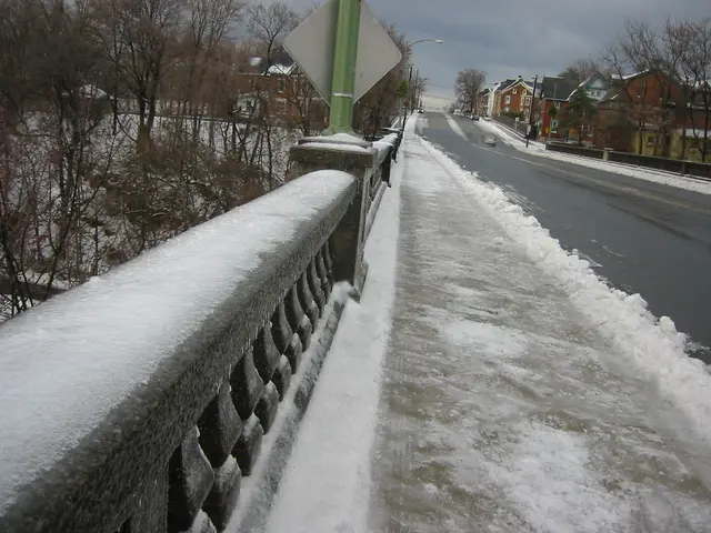 snowstorm, 2003-12, img_1010