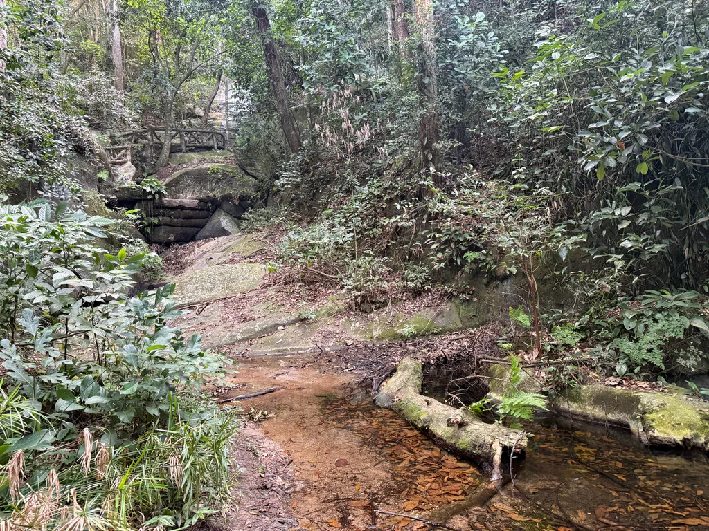 Parque Lage