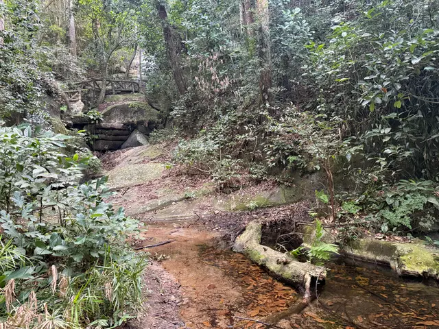 Parque Lage