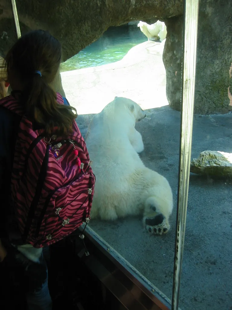 oscon 2003, polar_bear-2