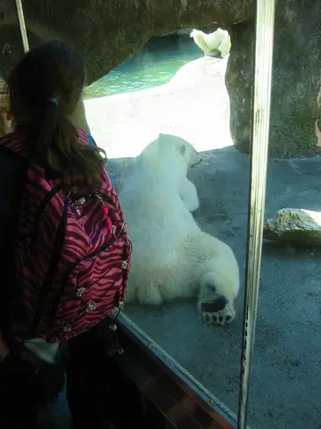 oscon 2003, polar_bear-2