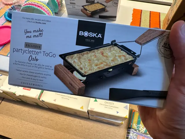 travel raclette