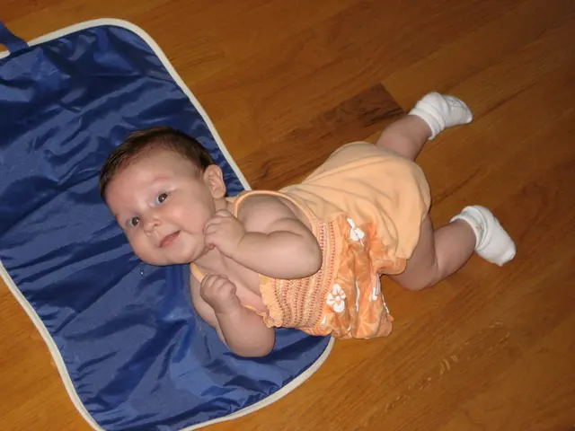 even martha loves hardwood floors