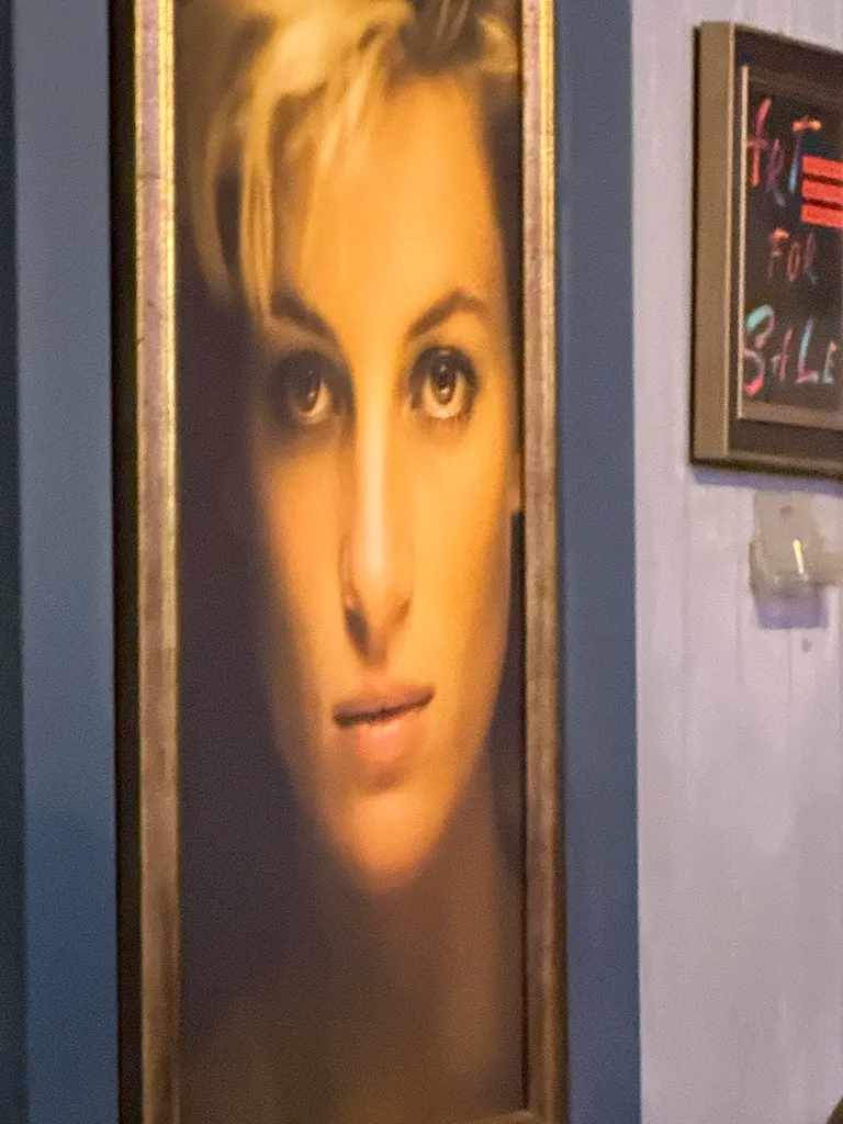 Princess Di?