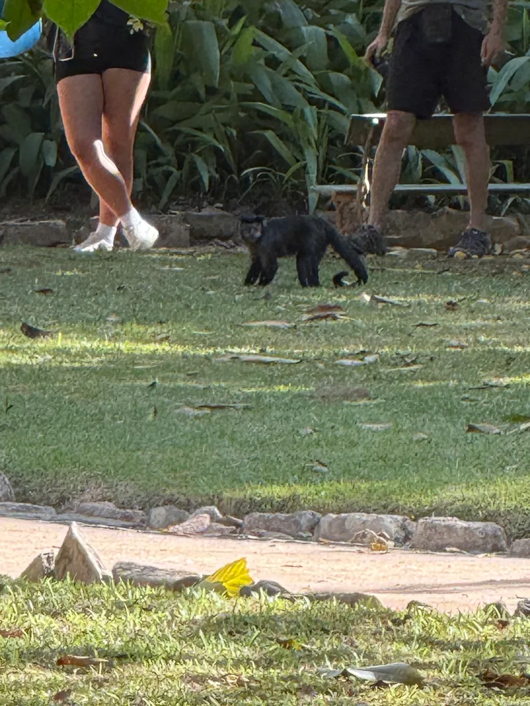the Botanical Garden in Rio
