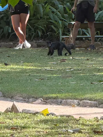 the Botanical Garden in Rio