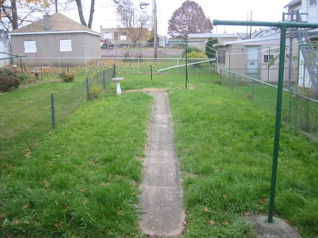 back yard, from the west