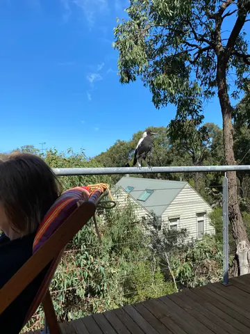 down the Great Ocean Road