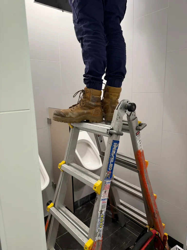 urinal ladder