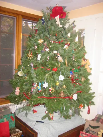 christmas 2005, 122505-090859