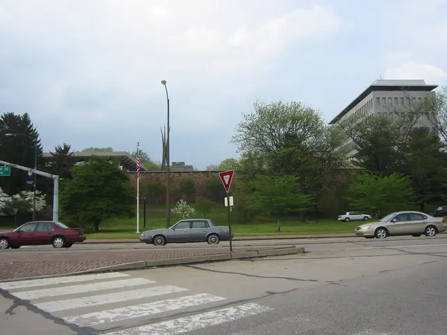 the_wall