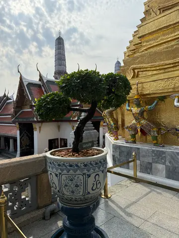 Bangkok walking tour, bonsai