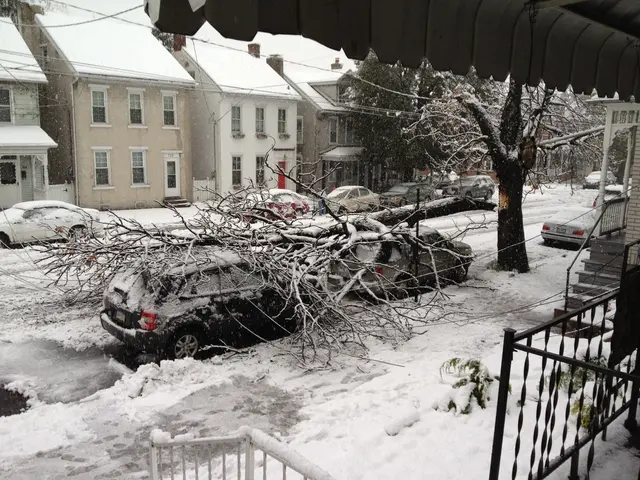 rachel's car!